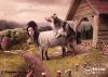 Frieke Janssens