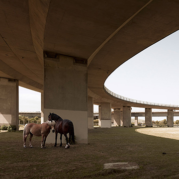 architecture photographers