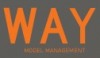 Way Model Management
