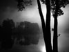 landscape photographers