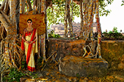 Tarun Khiwal