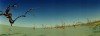landscape photographers