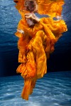 underwater photographers