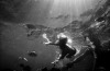 underwater photographers