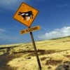 landscape photographers
