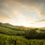 landscape photographers