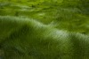 landscape photographers