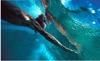 underwater photographers