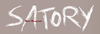 Satory Management