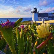 landscape photographers