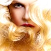 beauty photographers