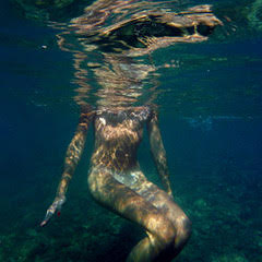 underwater photographers