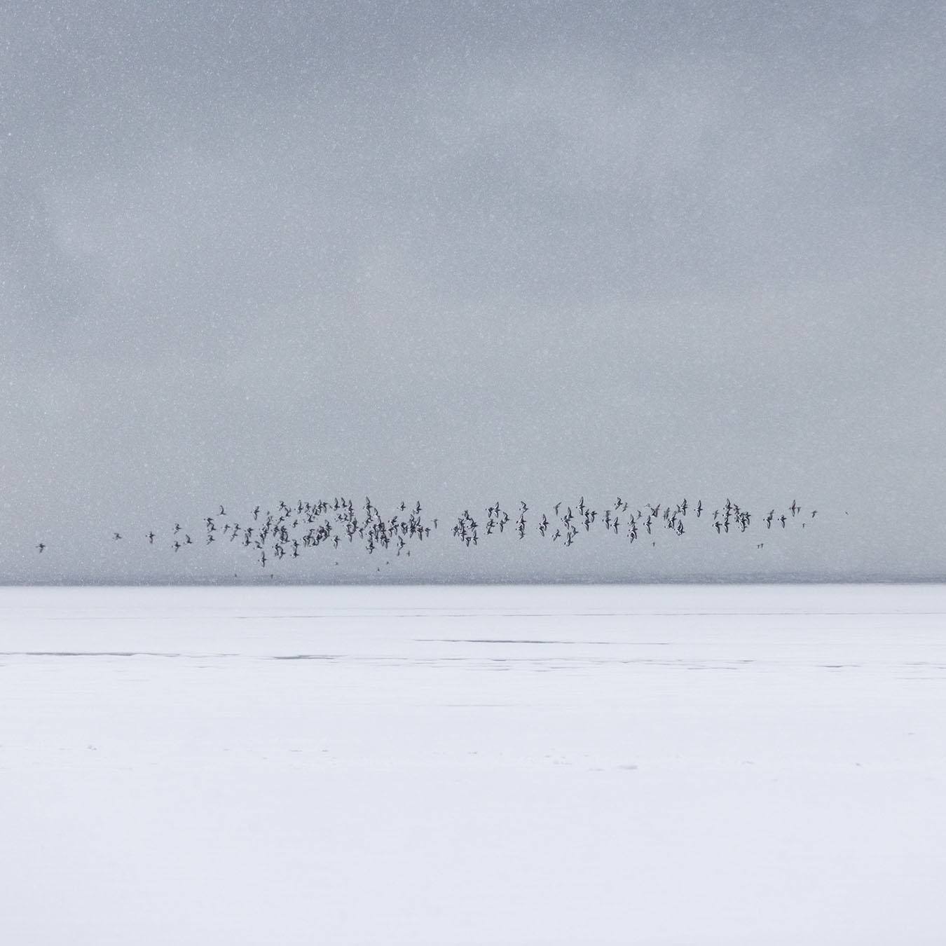landscape photographers