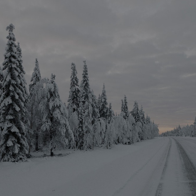 landscape photographers