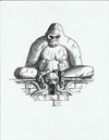 illustrators