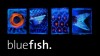 Blue Fish-Glenn Gibson