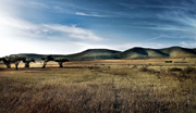 landscape photographers