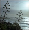 landscape photographers
