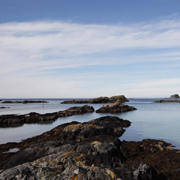 landscape photographers