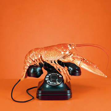 conceptual photographers