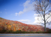 landscape photographers