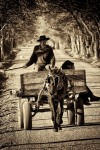 people & lifestyle photographers