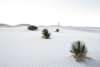 landscape photographers