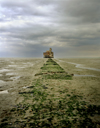 landscape photographers