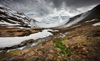 landscape photographers