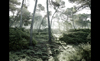 landscape photographers