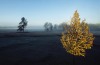 landscape photographers