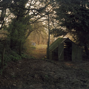 landscape photographers