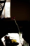 still life photographers