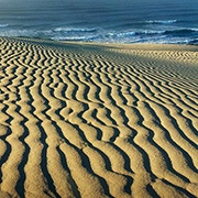 landscape photographers