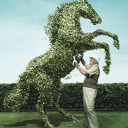 digital creative services