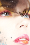 beauty photographers