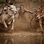 documentary & reportage photographers