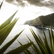 landscape photographers