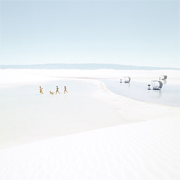 landscape photographers