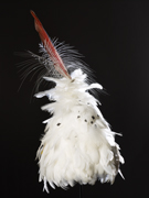 art & fine art photographers