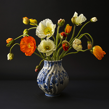 art & fine art photographers