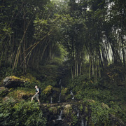 travel photographers