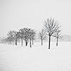 landscape photographers