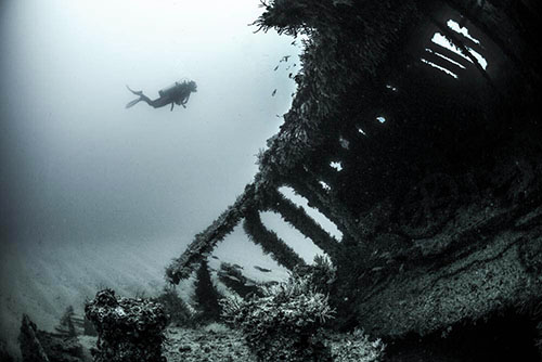 underwater photographers