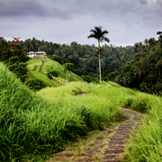 travel photographers