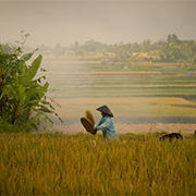 travel photographers