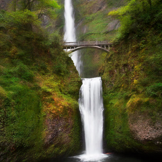 landscape photographers