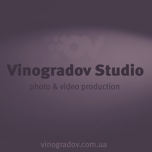 Leonid Vinogradov