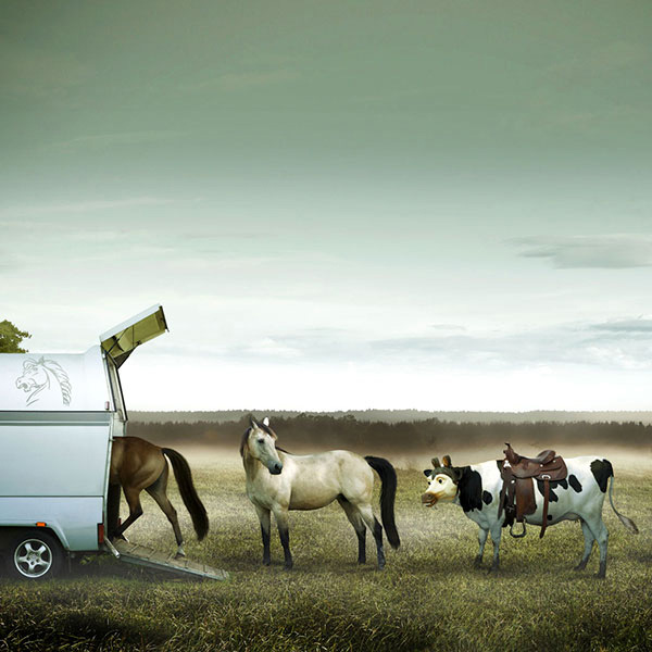 advertising photographers