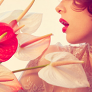 fashion photographers